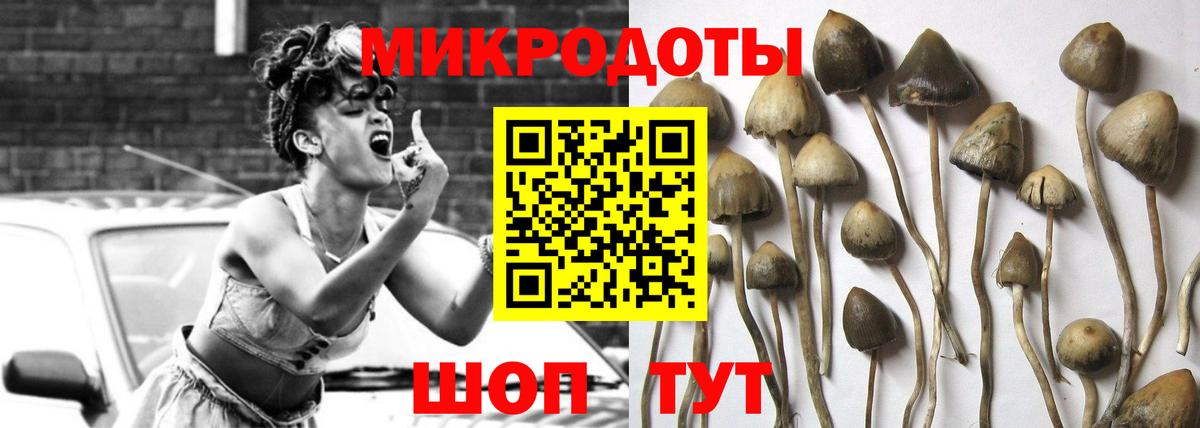 Новороссийск  Псилоцибиновые грибы прущие грибы  Вход с VPN  Псилоцибиновые грибы GOLDEN TEACHER 